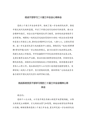 （9篇）统战干部学习二十届三中全会心得体会范文.docx