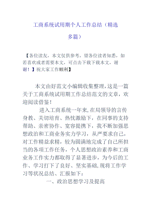 工商系统试用期个人工作总结(精选多篇).docx