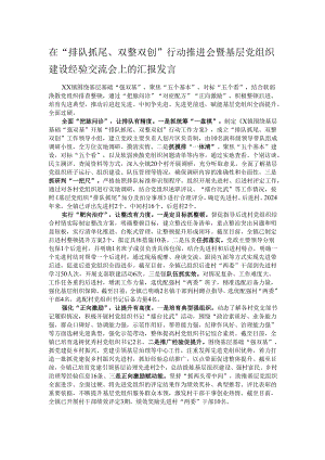 在“排队抓尾、双整双创”行动推进会暨基层党组织建设经验交流会上的汇报发言.docx
