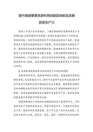提升数据要素资源利用效能因地制宜发展新质生产力.docx