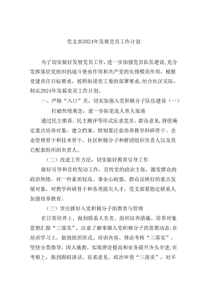 （9篇）党支部2024年发展党员工作计划优选.docx