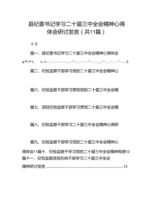 （11篇）县纪委书记学习二十届三中全会精神心得体会研讨发言范文.docx