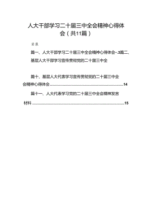 （11篇）人大干部学习二十届三中全会精神心得体会（精选）.docx