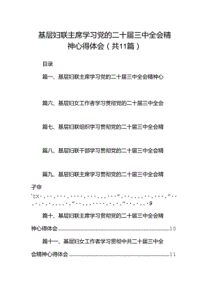 （11篇）基层妇联主席学习党的二十届三中全会精神心得体会范文.docx