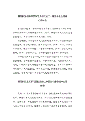 基层执法领导干部学习贯彻党的二十届三中全会精神心得体会(5篇集合).docx