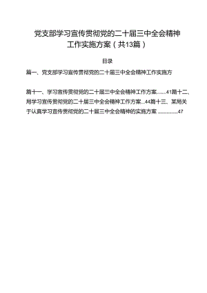（13篇）党支部学习宣传贯彻党的二十届三中全会精神工作实施方案（详细版）.docx