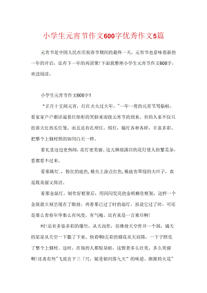 小学生元宵节作文600字优秀作文5篇.docx