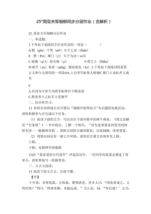 25- 周亚夫军细柳 同步分层作业（ 含解析）.docx