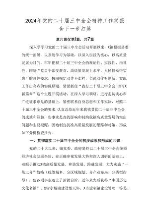 2024年党的二十届三中全会精神工作简报含下一步打算.docx