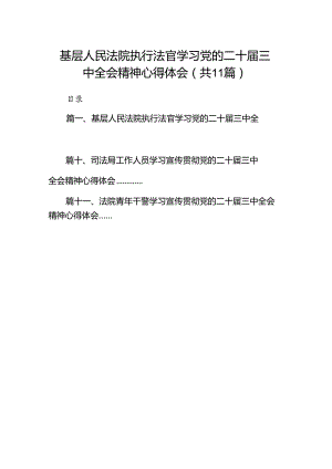 （11篇）基层人民法院执行法官学习党的二十届三中全会精神心得体会（详细版）.docx