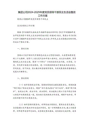 集团公司2024-2025年度党员领导干部民主生活会整改工作方案.docx