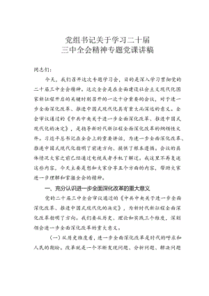 党组书记关于学习二十届三中全会精神专题党课讲稿.docx