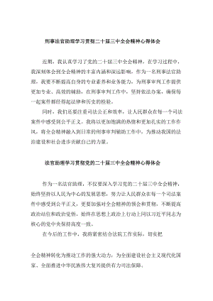 （11篇）刑事法官助理学习贯彻二十届三中全会精神心得体会（精选）.docx