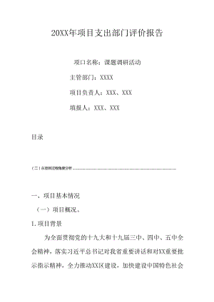 20XX 年项目支出部门评价报告.docx