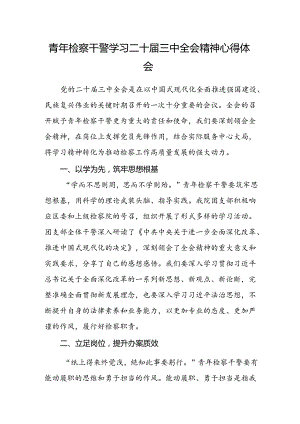 青年检察干警学习二十届三中全会精神心得体会.docx