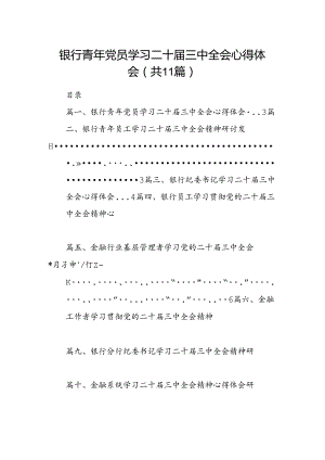 （11篇）银行青年党员学习二十届三中全会心得体会范文.docx