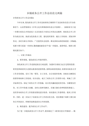 乡镇政务公开工作总结范文两篇.docx