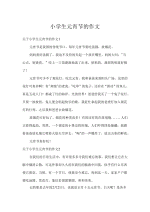 小学生元宵节的作文.docx