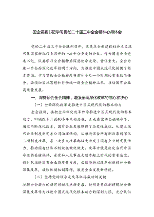 （8篇）国企党委书记学习贯彻二十届三中全会精神心得体会（详细版）.docx
