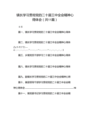 （11篇）镇长学习贯彻党的二十届三中全会精神心得体会精品.docx