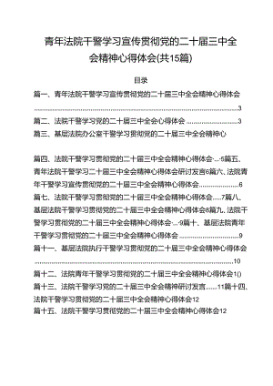（15篇）青年法院干警学习宣传贯彻党的二十届三中全会精神心得体会（精选）.docx