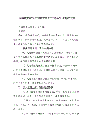 （9篇）某乡镇党委书记在全市安全生产工作会议上的表态发言（精选）.docx