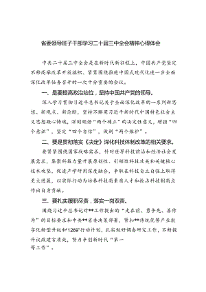 （9篇）省委领导班子干部学习二十届三中全会精神心得体会范文.docx