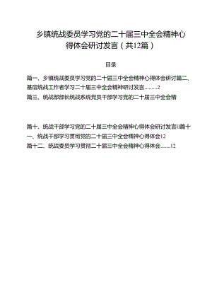 乡镇统战委员学习党的二十届三中全会精神心得体会研讨发言（共12篇）.docx