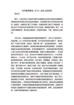 在市委常委会（扩大）会议上的讲话.docx