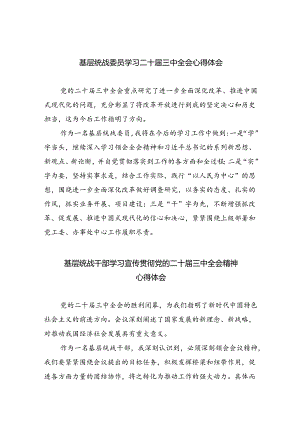（9篇）基层统战委员学习二十届三中全会心得体会范文.docx