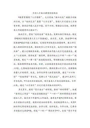 乡村人才振兴典型经验做法.docx