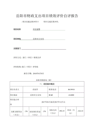 岳阳财政支出项目绩效评价自评报告.docx