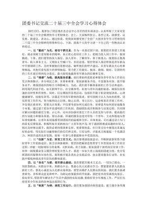 团委书记交流二十届三中全会学习心得体会.docx