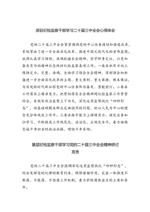 （9篇）派驻纪检监察干部学习二十届三中全会心得体会（精选）.docx