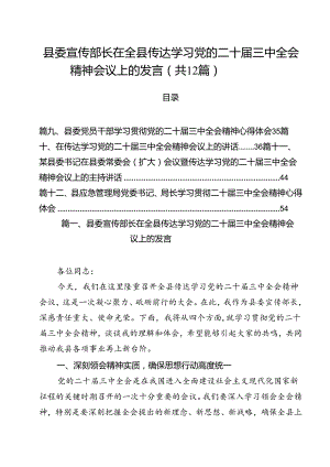 县委宣传部长在全县传达学习党的二十届三中全会精神会议上的发言12篇（详细版）.docx
