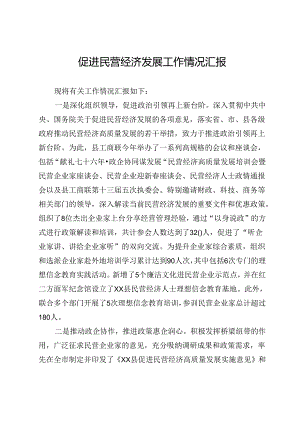 促进民营经济发展工作情况汇报.docx