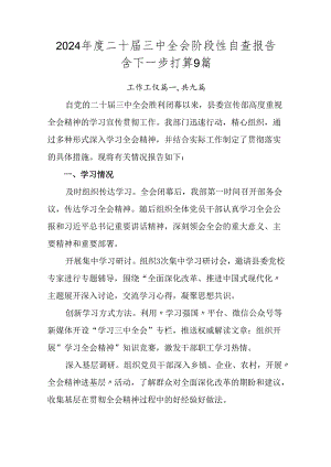 2024年度二十届三中全会阶段性自查报告含下一步打算9篇.docx