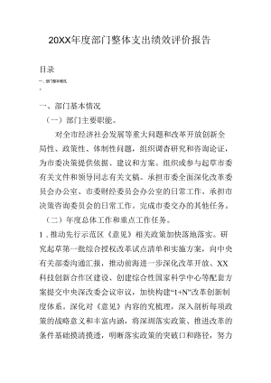 20XX年度部门整体支出绩效评价报告.docx
