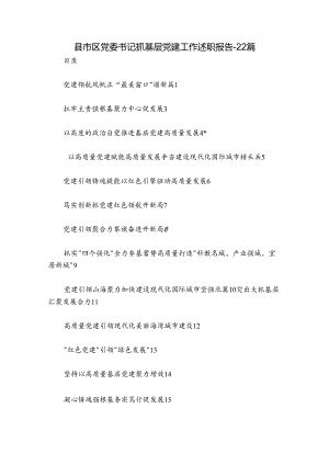 县市区党委书记抓基层党建工作述职报告-22篇.docx