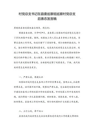 村党总支书记在县委巡察组巡察村党总支后表态发言稿.docx