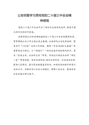 公安民警学习贯彻党的二十届三中全会精神感悟.docx