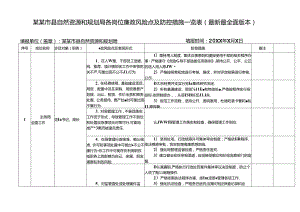 某某市县自然资源和规划局各岗位廉政风险点及防控措施一览表（最新最全面版本）.docx