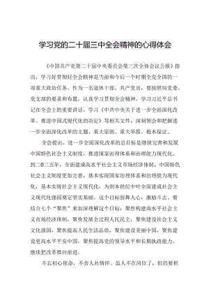 学习党的二十届三中全会公报心得体会四十四篇.docx