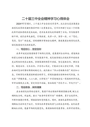 公司年轻干部二十届三中全会精神学习心得体会.docx