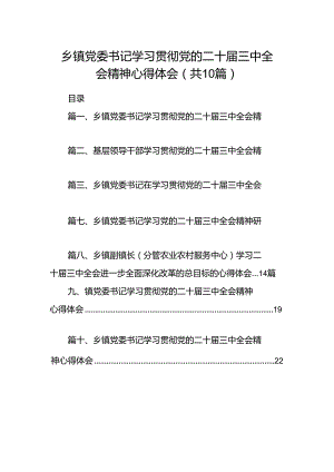 乡镇党委书记学习贯彻党的二十届三中全会精神心得体会(精选共10篇).docx