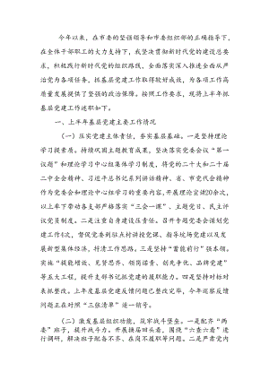 2024年上半年党委书记抓基层党建工作述职报告.docx
