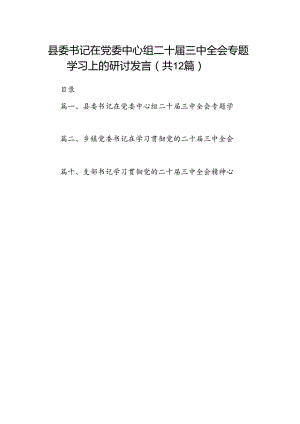 县委书记在党委中心组二十届三中全会专题学习上的研讨发言（共12篇）.docx
