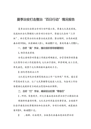 公安禁毒大队夏季治安打击整治工作总结(十一篇).docx