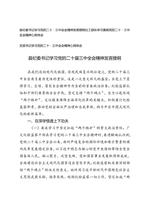 3篇 县纪委书记、支部书记、社工部长学习党的二十届三中全会精神发言提纲交流发言材料.docx