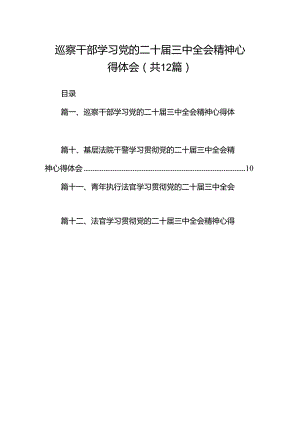 巡察干部学习党的二十届三中全会精神心得体会12篇（精选）.docx